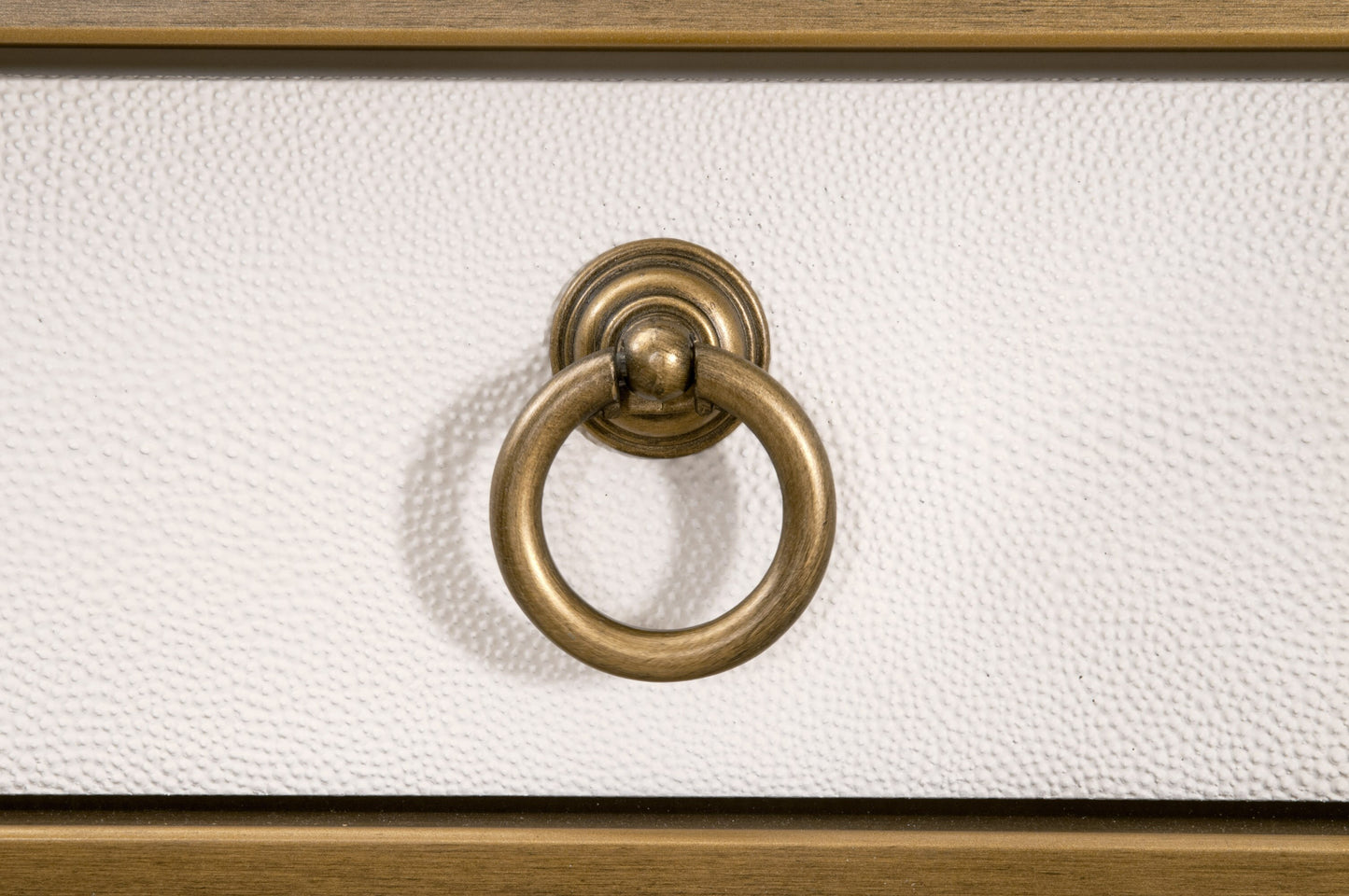 Strand Shagreen Desk